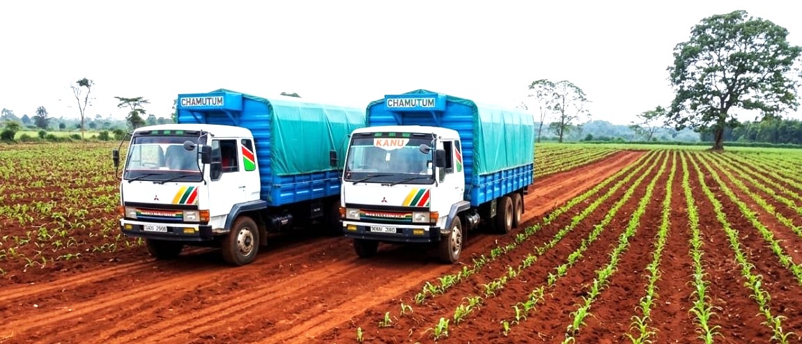 Transport & Logistics Management